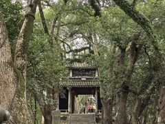 -蒋氏故居