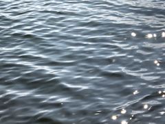 -西昌邛海湿地