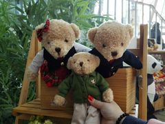 android_upload_pic-济州岛泰迪熊博物馆