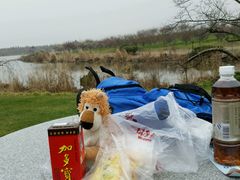 野餐-上海海湾国家森林公园