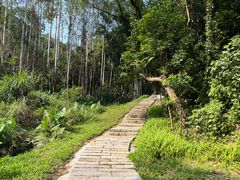 -黄埔油麻山森林公园