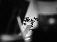 -虫二茶事(彭家巷店)