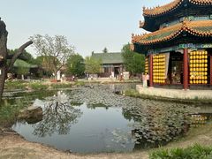 -曹州牡丹园