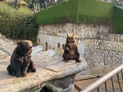 -云南野生动物园