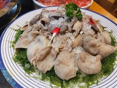 -一斗火锅·招财羊毛肚(北温泉九号店)