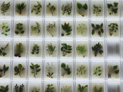 -广东中医药博物馆