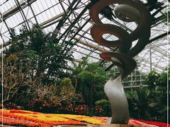 -南山植物园