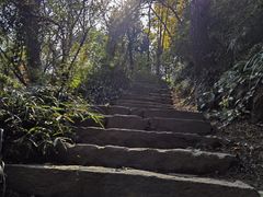 -狼山风景名胜区