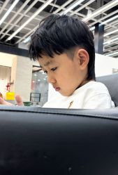 -蚂蚁造型俱乐部