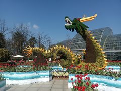 -南山植物园