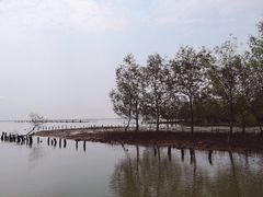 -东寨港红树林旅游区