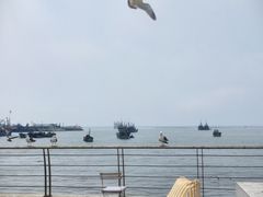-烟墩角天鹅湖