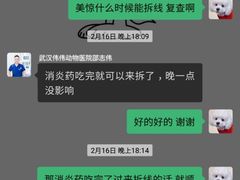 -伟伟宠物医院·CT影像中心·瑞派犬猫综合性门诊(汉口总院)