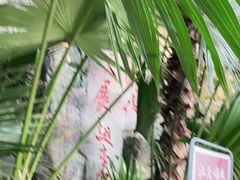 -江天生态园餐厅