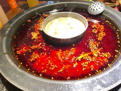 -陈眼镜火锅(总店)