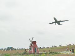 -空港花田景区
