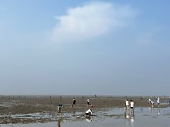 -刘家湾赶海园