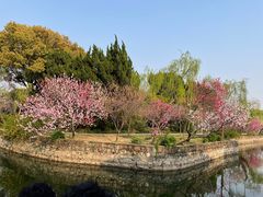 -无锡蠡湖国家湿地公园-蠡园