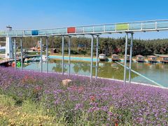 -北纬44度·金珠花海休闲农业旅游景区