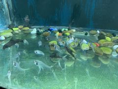 -苏州海洋馆