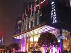 -长沙小天鹅戴斯酒店