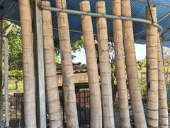 -竹泉农庄·竹筒饭(从化店)