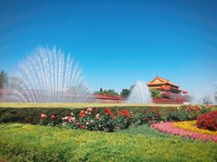 -麦当劳(大栅栏店)