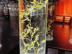 -广东中医药博物馆