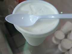 -洪馨椰子