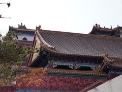 -颐和园