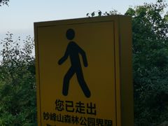 -阳台山自然风景区