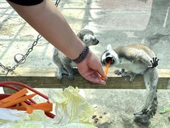 -水上乐园·欢乐世界