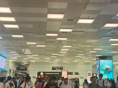 -郑州新郑国际机场-T2航站楼