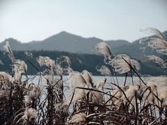 -东钱湖旅游度假区