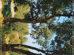 -北京西山国家森林公园