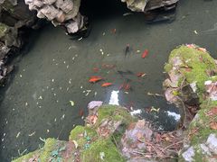 -东山雕花楼