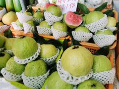 番石榴-南沙十九涌渔人码头-南门