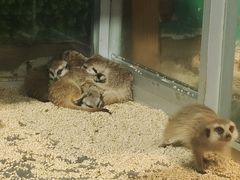 -常州海昌海洋探索馆