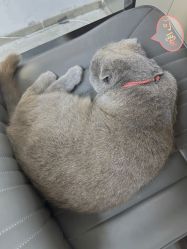 -蚂蚁造型沙龙