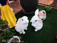 -双季花艺园艺市场(浦东店)