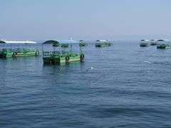 -抚仙湖禄充风景区