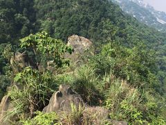 -南山植物园