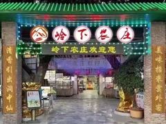 -岭下农庄·农家菜·野生大头鱼·公司团建(福永凤凰山店)