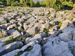 -原山国家森林公园