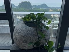 -四月吧餐厅(正阳步行街店)