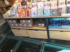 -猫的天空之城概念书店(丽江古城饮玉巷店)