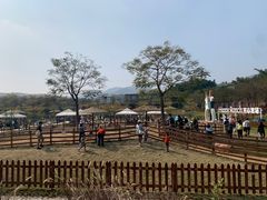 -盈香心动乐园