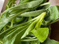 -攀枝花野菜铜火锅(万科凯德店)