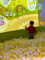 点击看大图 -宝燕乐园(闵行旗舰店)