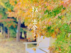 -花开海上生态园